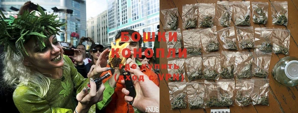 ALPHA PVP Гатчина