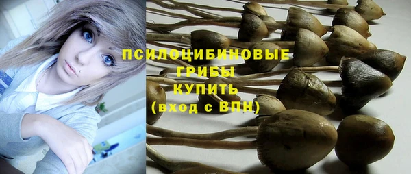 гашиш Переславль-Залесский